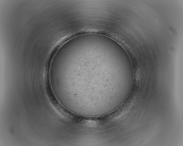 X0000112780352200908271708