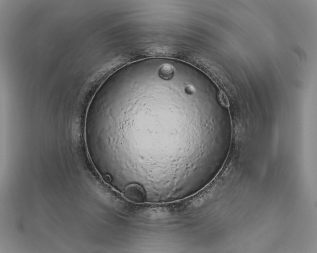 X0000112780353200908271708