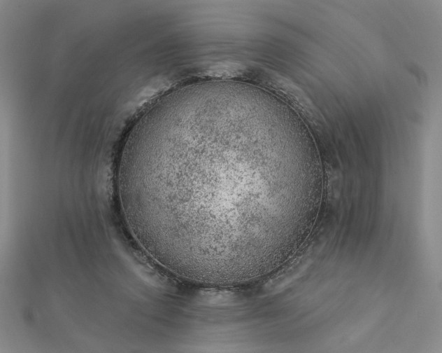 X0000112780354200908271708