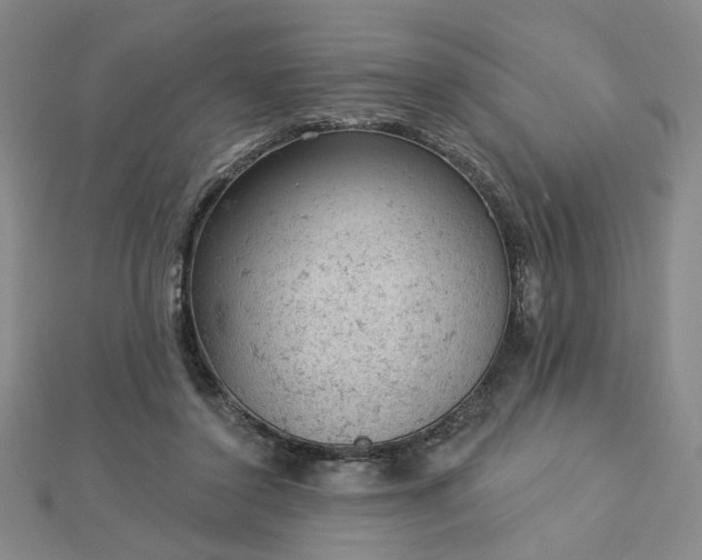 X0000112780356200908271708