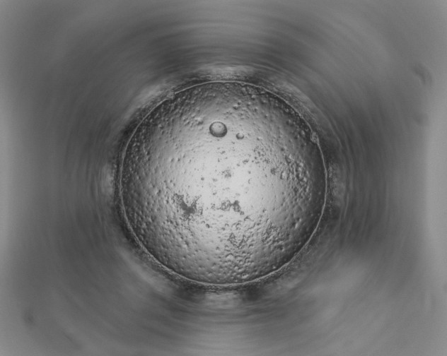 X0000112780357200908271708