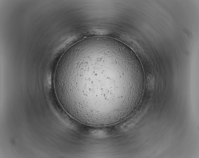 X0000112780358200908271708