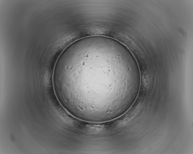 X0000112780359200908271708