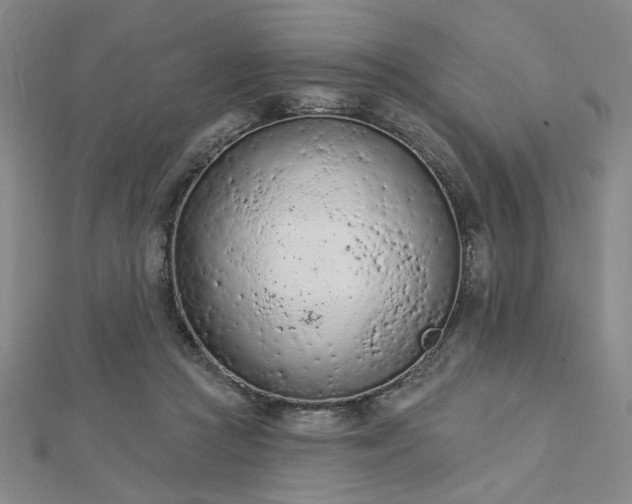 X0000112780361200908271708