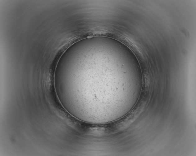 X0000112780362200908271708