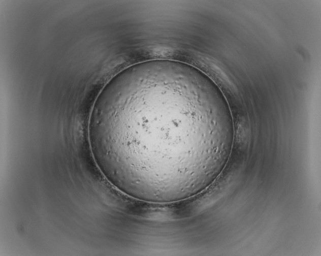 X0000112780363200908271708