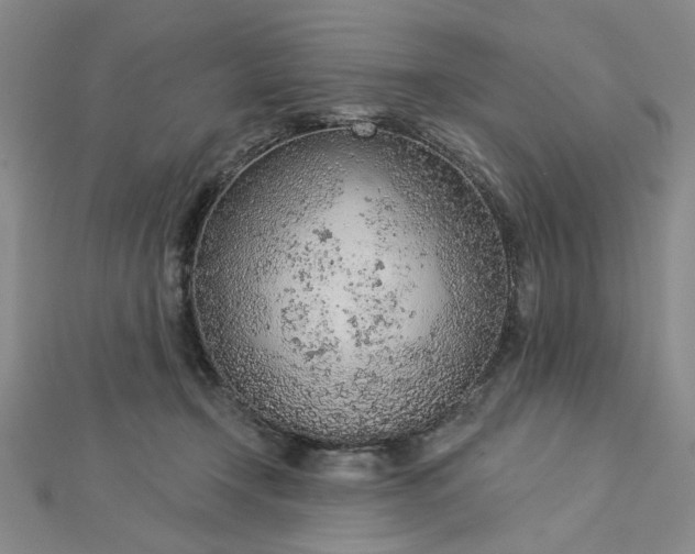 X0000112780366200908271708