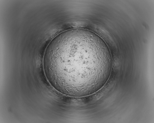 X0000112780367200908271708