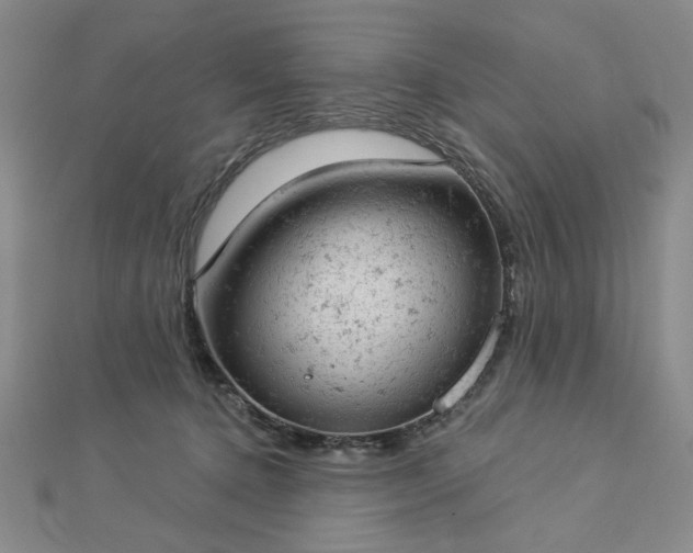 X0000112780368200908271708