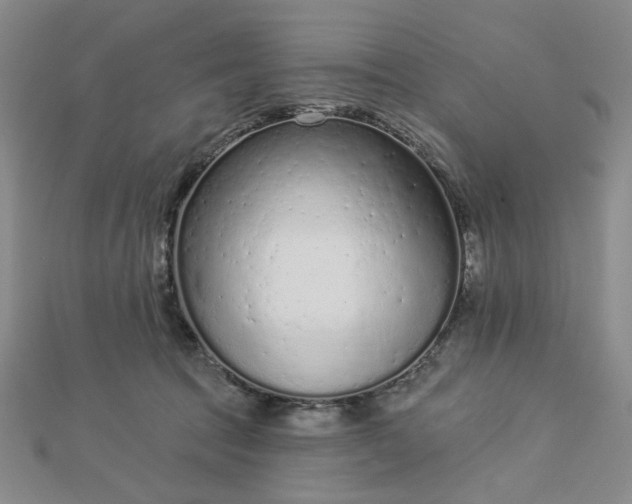 X0000112780369200908271709