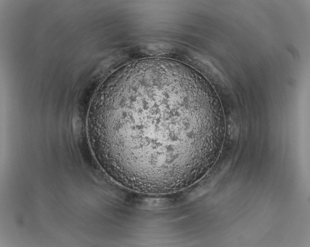 X0000112780371200908271709