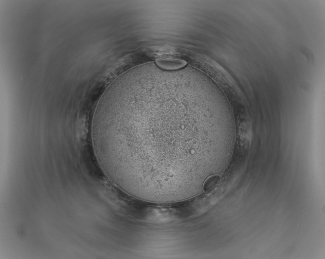 X0000112780372200908271709