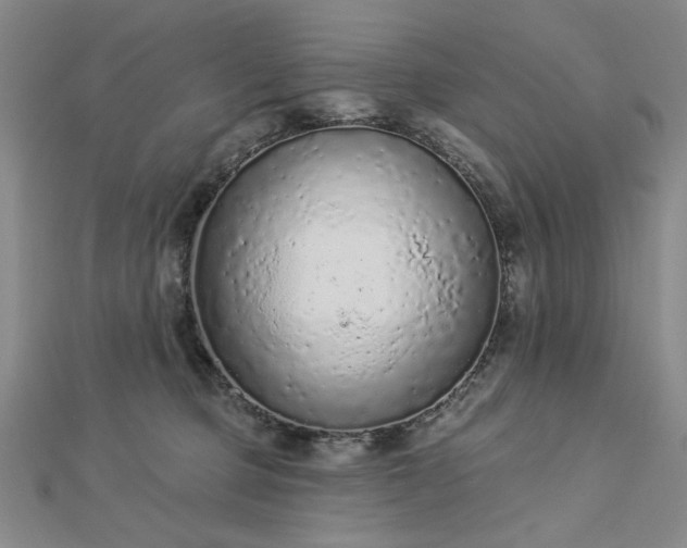 X0000112780373200908271709