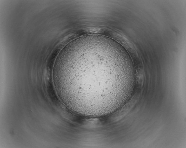 X0000112780374200908271709