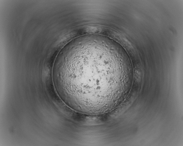 X0000112780375200908271709