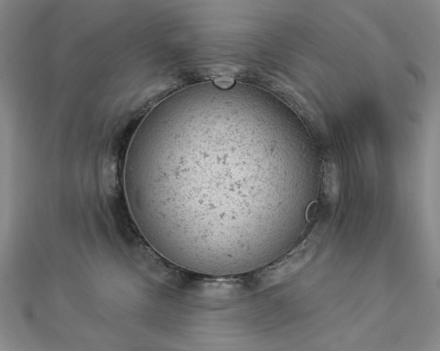 X0000112780378200908271709