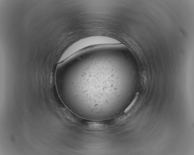 X0000112780380200908271709