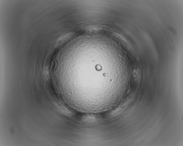 X0000112780381200908271709