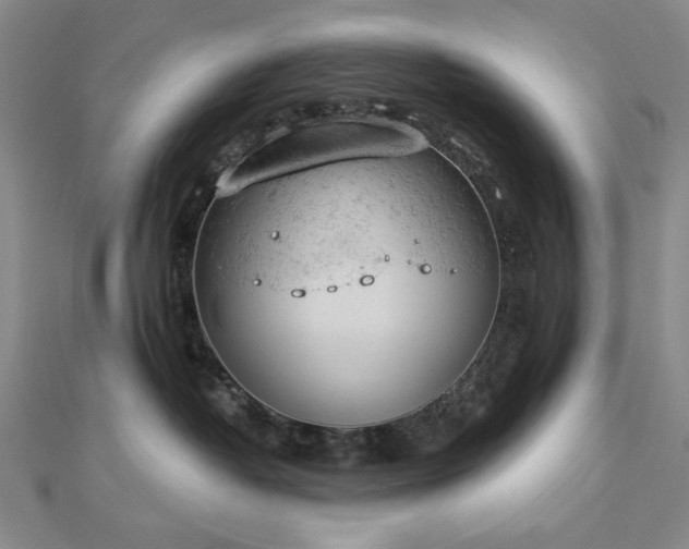 X0000112780382200908271709