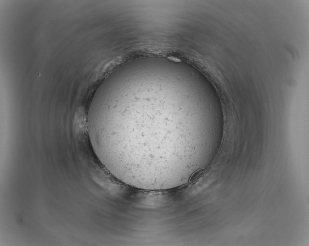 X0000112780384200908271709