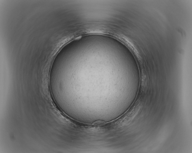 X0000112780385200908271708