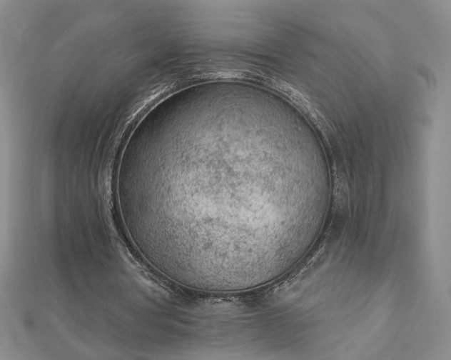 X0000112780386200908271708