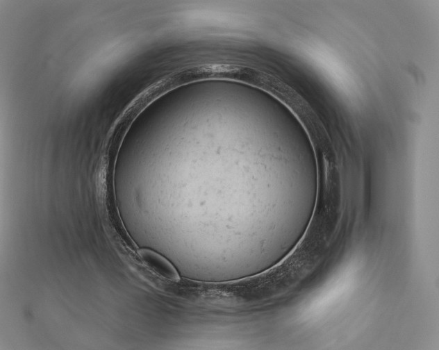 X0000112780387200908271708