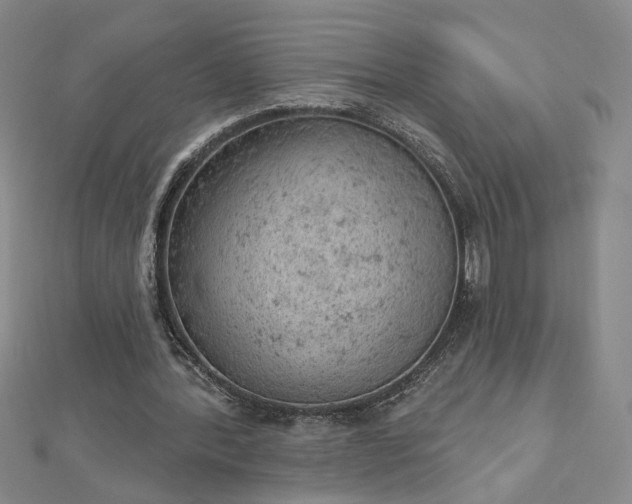 X0000112780388200908271708