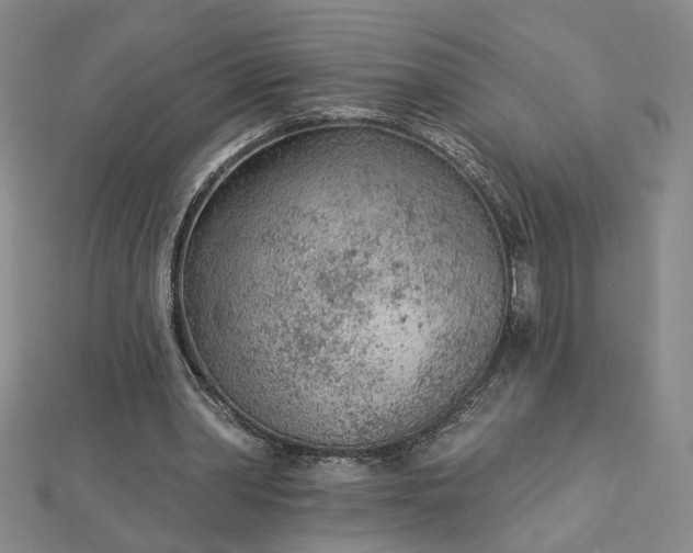 X0000112780390200908271708