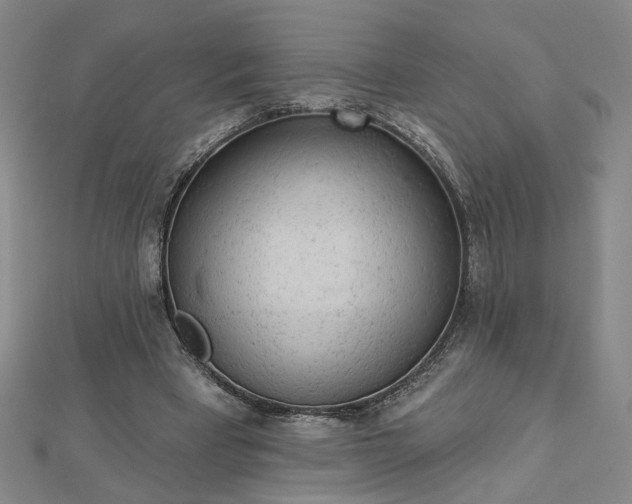 X0000112780393200908271708