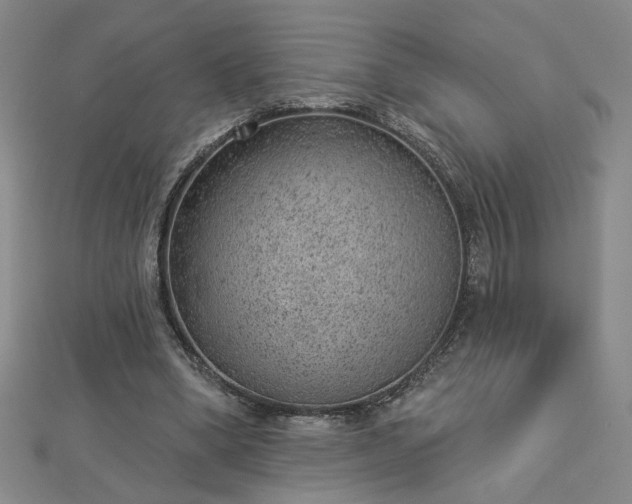 X0000112780394200908271708