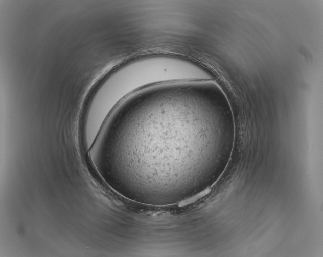 X0000112780395200908271708