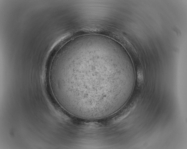 X0000112780396200908271708