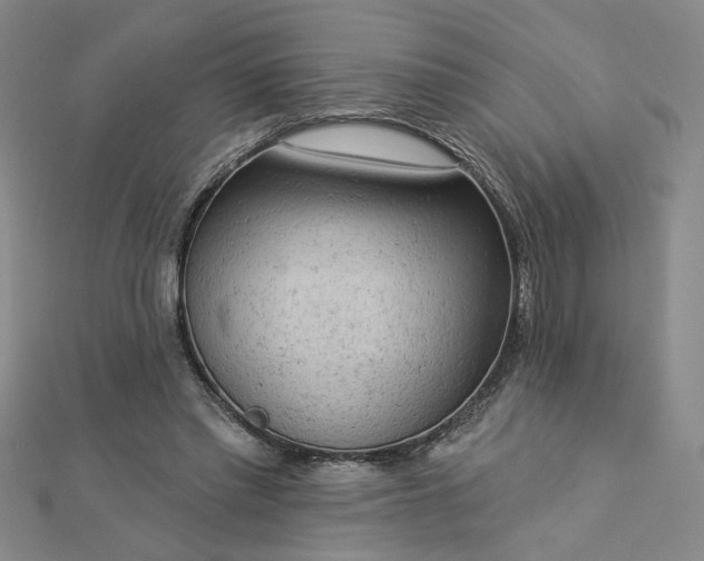 X0000112780397200908271708