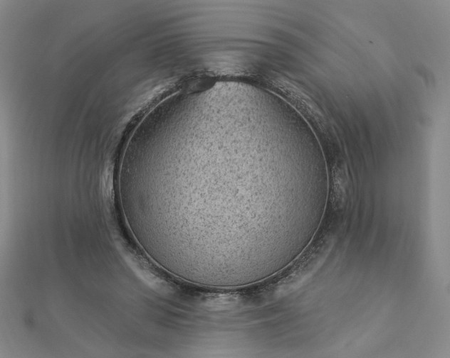 X0000112780398200908271708