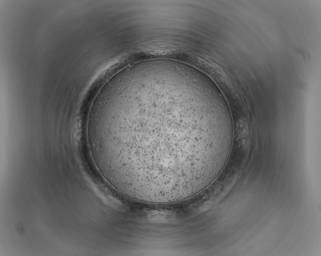 X0000112780400200908271708