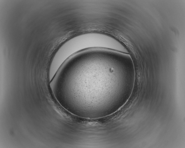 X0000112780401200908271708