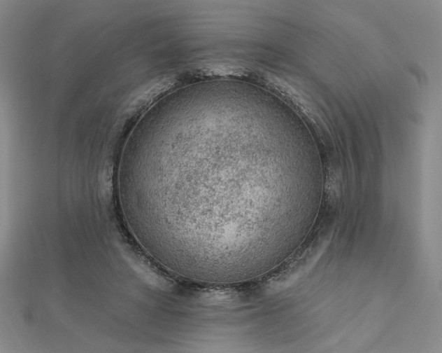 X0000112780402200908271708