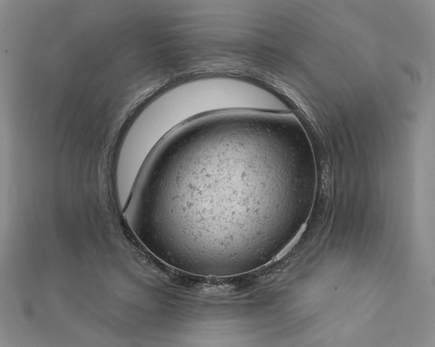 X0000112780403200908271708