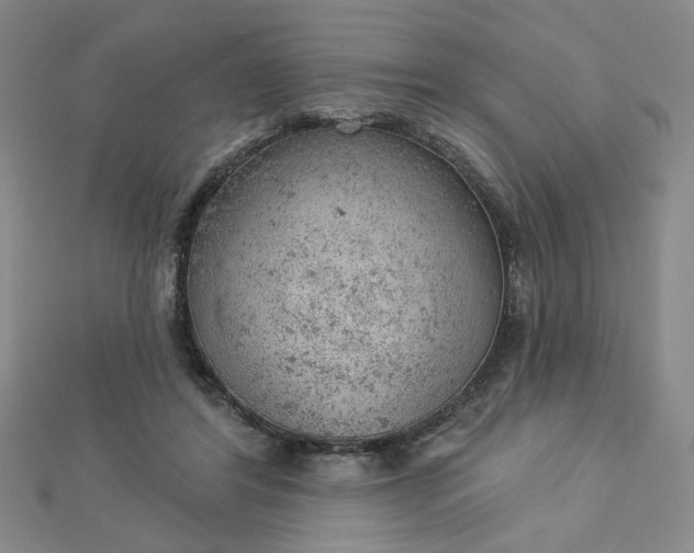 X0000112780404200908271708