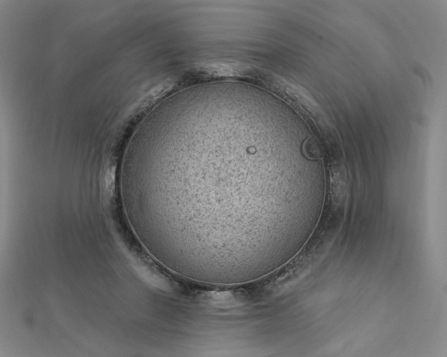 X0000112780406200908271708