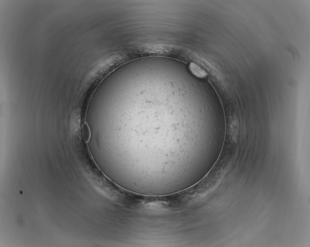 X0000112780407200908271708