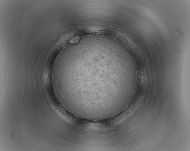 X0000112780408200908271708