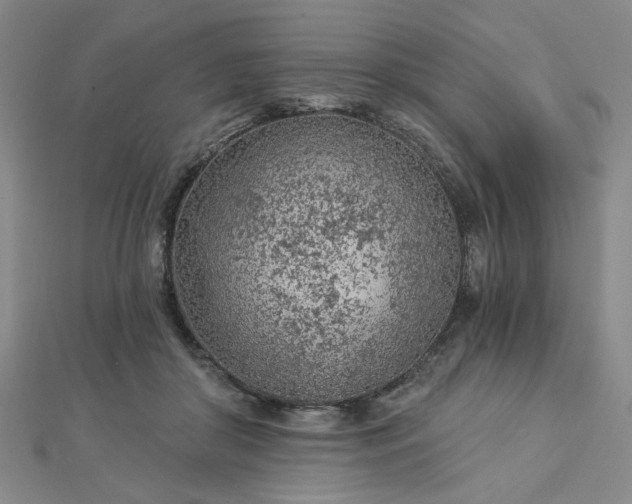 X0000112780410200908271708