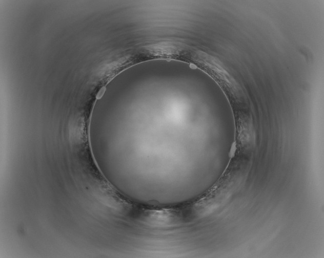 X0000112780411200908271708