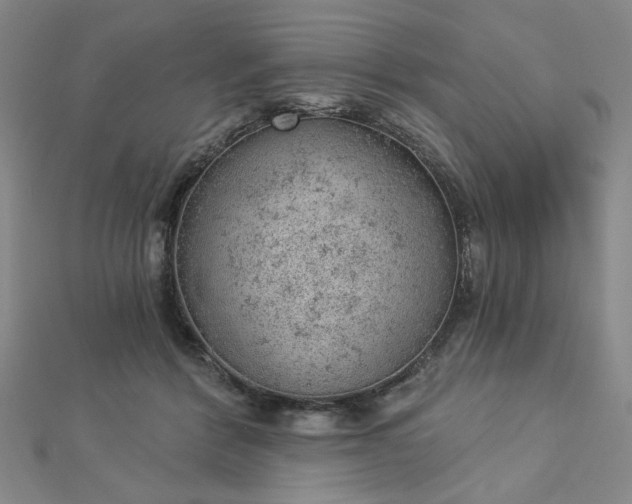 X0000112780412200908271708