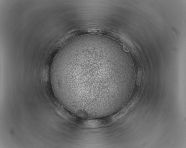 X0000112780413200908271708