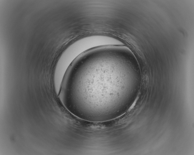 X0000112780415200908271708