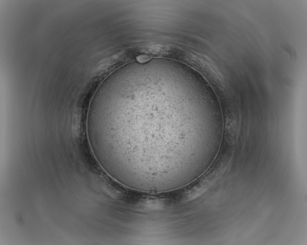 X0000112780416200908271708