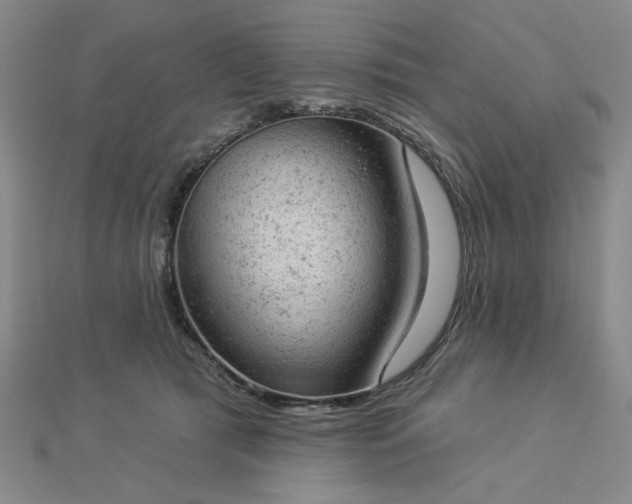 X0000112780417200908271708